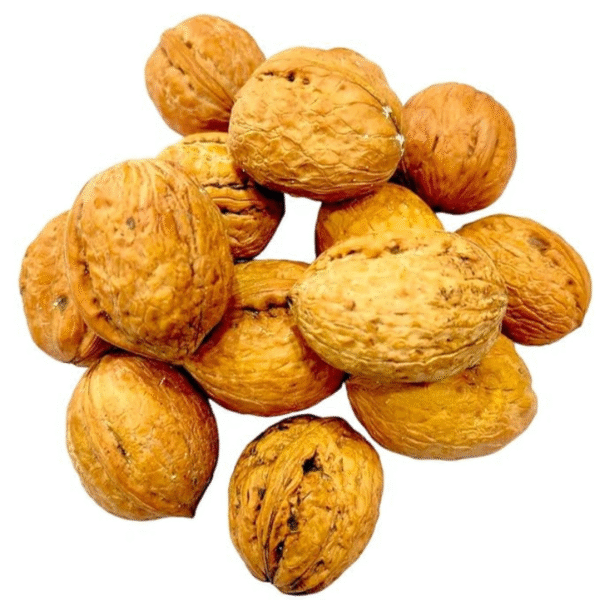 IAI Global Walnuts With Shell - Image 2