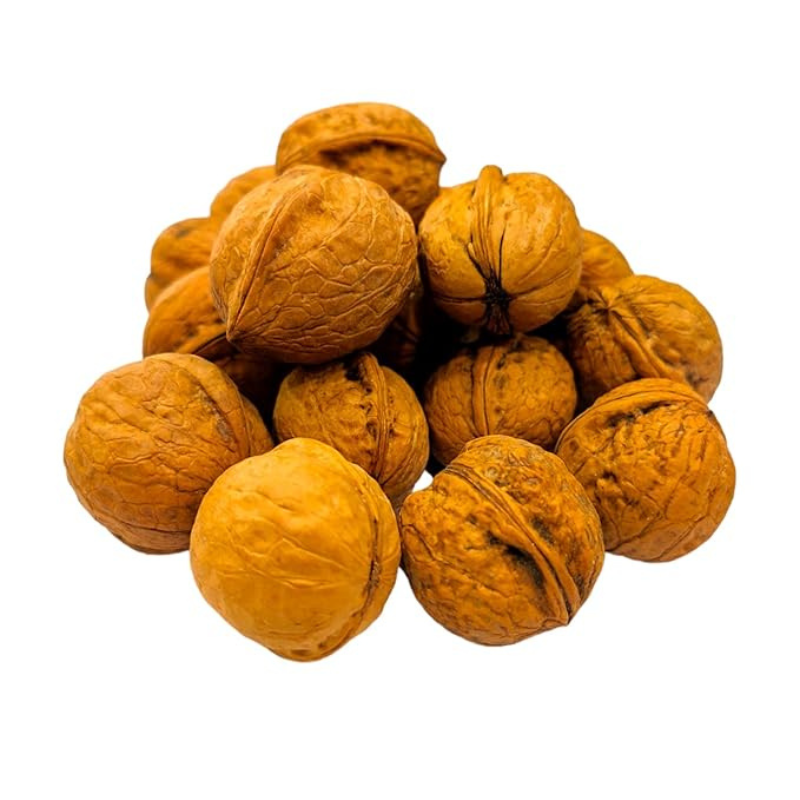 IAI Global Walnuts With Shell